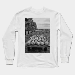 Minnesota Autumn Study 2 Long Sleeve T-Shirt